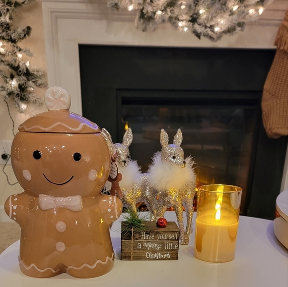 🍪 Tik Tok Viral Holly & Joy Gingerbread Cookie Jar 🍪 - Picture 6 of 7